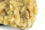 Honey Colored Barite Crystals on Fluorescent Calcite - Elk Creek #240831-2